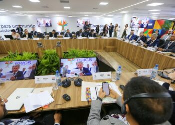 Reunião do Grupo de Trabalho de Agricultura do BRICS destaca ações para o desenvolvimento sustentável da produção agrícola e da agricultura familiar