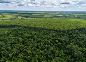 Perspectivas para a agenda socioambiental em 2025