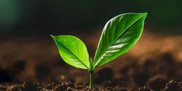 Agricultura regenerativa em foco: CLAR 2025 reúne especialistas para discutir futuro sustentável no Brasil e América Latina