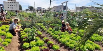 Iniciativas inspiradoras em prol do meio ambiente em Santa Catarina