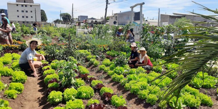 Iniciativas inspiradoras em prol do meio ambiente em Santa Catarina