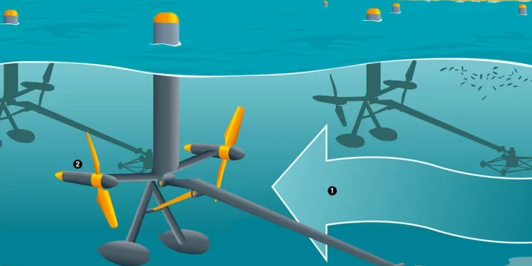 Presidente do Brasil assina lei autorizando o desenvolvimento de energia eólica offshore