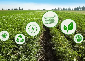 Novo Plano Safra busca implementar prêmio para agro sustentável