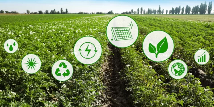 Novo Plano Safra busca implementar prêmio para agro sustentável