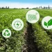 Novo Plano Safra busca implementar prêmio para agro sustentável