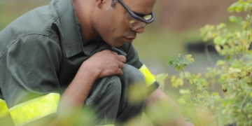 EcoRodovias investe em projetos de desenvolvimento humano e social