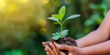 Governo brasileiro lança Programa Nacional de Crescimento Verde