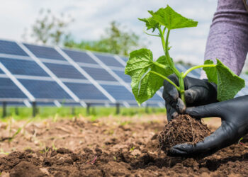 Novo horizonte ao agro sustentável em 2025