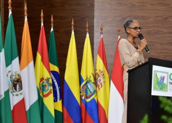 A ministra, Marina defende ampliação do financiamento para proteção das florestas