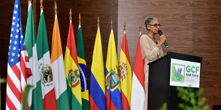 A ministra, Marina defende ampliação do financiamento para proteção das florestas