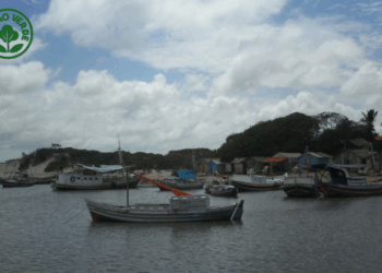 Educação superior chega aos povos das marés com cursos diferenciados no Maranhão, Piauí e Ceará