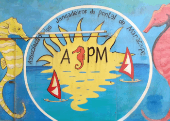 Instituições se unem para ordenar turismo com cavalos-marinhos no estuário do Rio Maracaípe (PE)