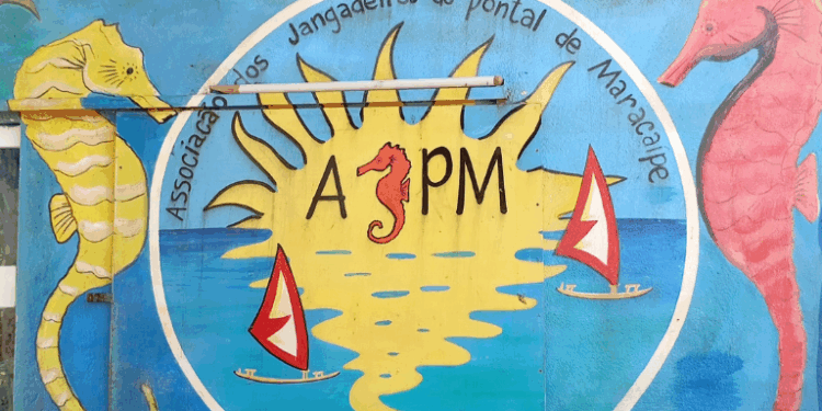 Instituições se unem para ordenar turismo com cavalos-marinhos no estuário do Rio Maracaípe (PE)