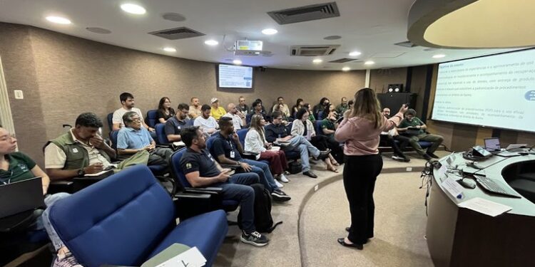 Ibama promove capacitação sobre uso de drones e satélites na recuperação ambiental