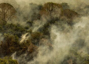 MMA Lança Editais de R$ 34,5 Milhões para Prevenir Incêndios Florestais na Amazônia e Pantanal