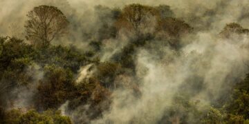 MMA Lança Editais de R$ 34,5 Milhões para Prevenir Incêndios Florestais na Amazônia e Pantanal