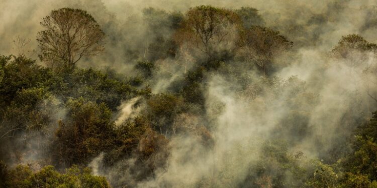 MMA Lança Editais de R$ 34,5 Milhões para Prevenir Incêndios Florestais na Amazônia e Pantanal