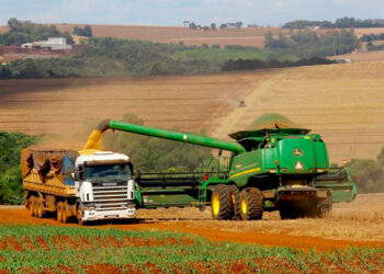 Safra de Grãos em 2025 Deve Bater Recorde com 332,6 Milhões de Toneladas, Aponta IBGE