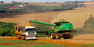 Safra de Grãos em 2025 Deve Bater Recorde com 332,6 Milhões de Toneladas, Aponta IBGE