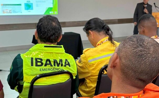 Ibama compartilha estratégias contra incêndios florestais em congresso internacional