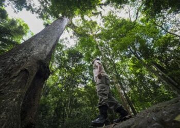 Atlas revela riquezas e desafios das unidades de conservação municipais no Rio de Janeiro