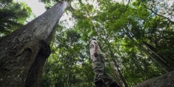 Atlas revela riquezas e desafios das unidades de conservação municipais no Rio de Janeiro