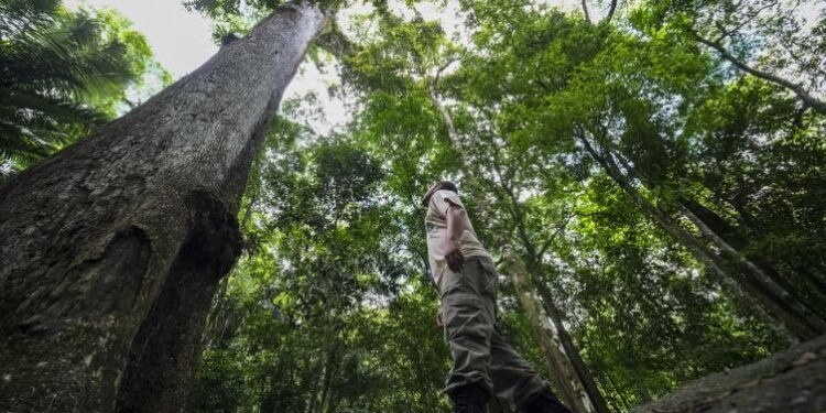Atlas revela riquezas e desafios das unidades de conservação municipais no Rio de Janeiro