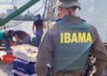 Ibama apreende embarcação por pesca ilegal de tainha em área protegida de Santa Catarina