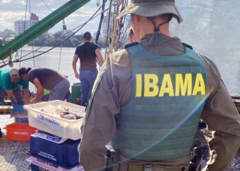 Ibama apreende embarcação por pesca ilegal de tainha em área protegida de Santa Catarina