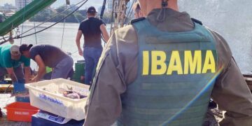 Ibama apreende embarcação por pesca ilegal de tainha em área protegida de Santa Catarina