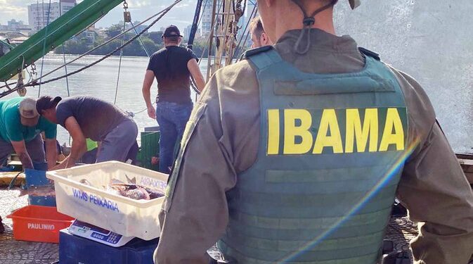 Ibama apreende embarcação por pesca ilegal de tainha em área protegida de Santa Catarina