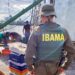 Ibama apreende embarcação por pesca ilegal de tainha em área protegida de Santa Catarina
