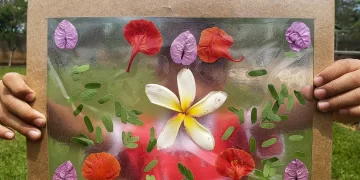 Natureza como aliada: especialistas e projetos fortalecem vínculo das crianças com o meio ambiente