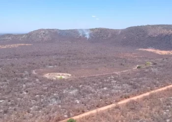 Nove estados somam mais de 41 mil crimes ambientais em dois anos