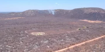 Nove estados somam mais de 41 mil crimes ambientais em dois anos