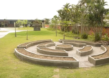 Museu do Pontal Lança Programação Cultural para Conscientização Ambiental no Junho Verde