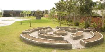 Museu do Pontal Lança Programação Cultural para Conscientização Ambiental no Junho Verde