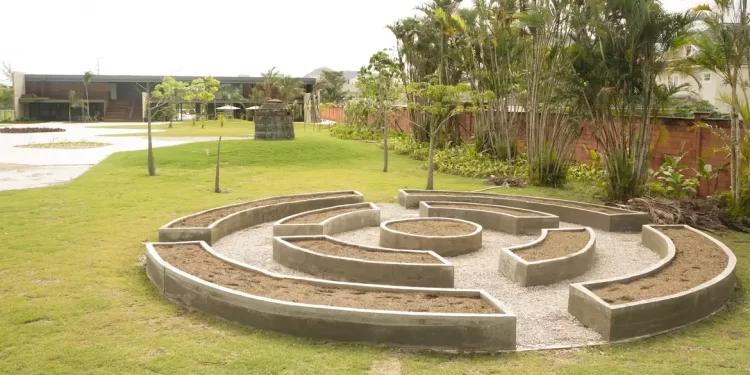 Museu do Pontal Lança Programação Cultural para Conscientização Ambiental no Junho Verde