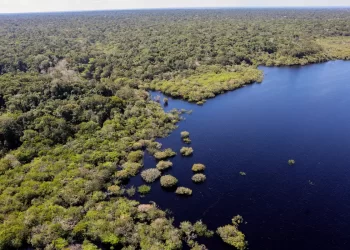 Fundo Amazônia bate recorde e destina mais de R$ 1 bilhão em 2025