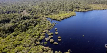 Fundo Amazônia bate recorde e destina mais de R$ 1 bilhão em 2025