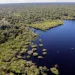 Fundo Amazônia bate recorde e destina mais de R$ 1 bilhão em 2025