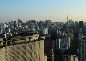 Vidraças urbanas colocam aves em risco, aponta estudo internacional