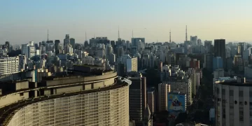 Vidraças urbanas colocam aves em risco, aponta estudo internacional