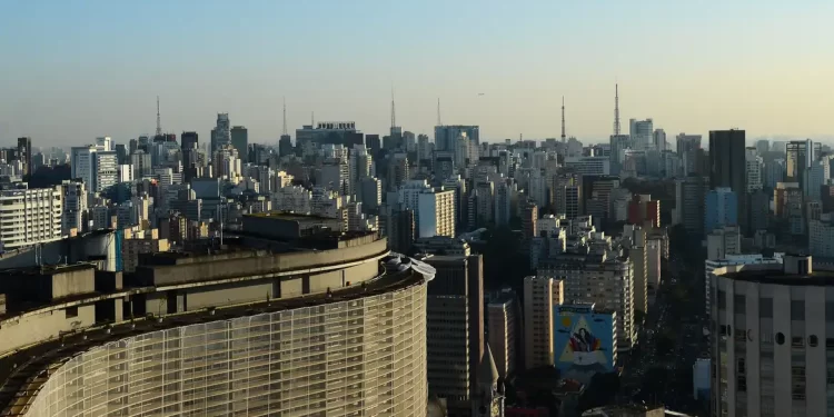 Vidraças urbanas colocam aves em risco, aponta estudo internacional