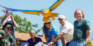 Ibama e Cetas protagonizam reinserção de 42 animais no Cerrado com presença de Marina Silva e primeira-dama