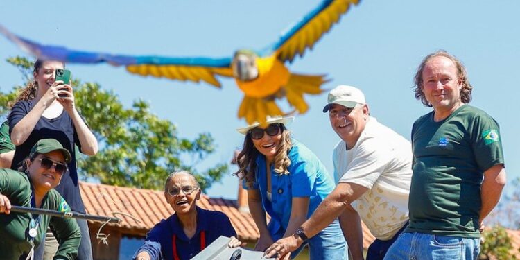 Ibama e Cetas protagonizam reinserção de 42 animais no Cerrado com presença de Marina Silva e primeira-dama