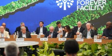 US$ 5,5 bilhões são anunciados para o Fundo Florestas