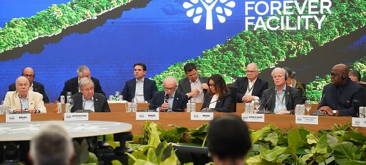 US$ 5,5 bilhões são anunciados para o Fundo Florestas